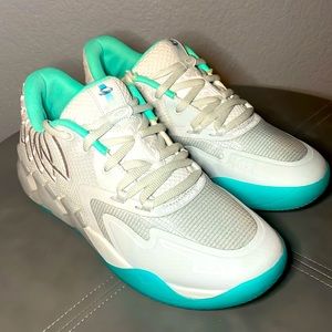 PUMA MB.01 Lo ‘UFO